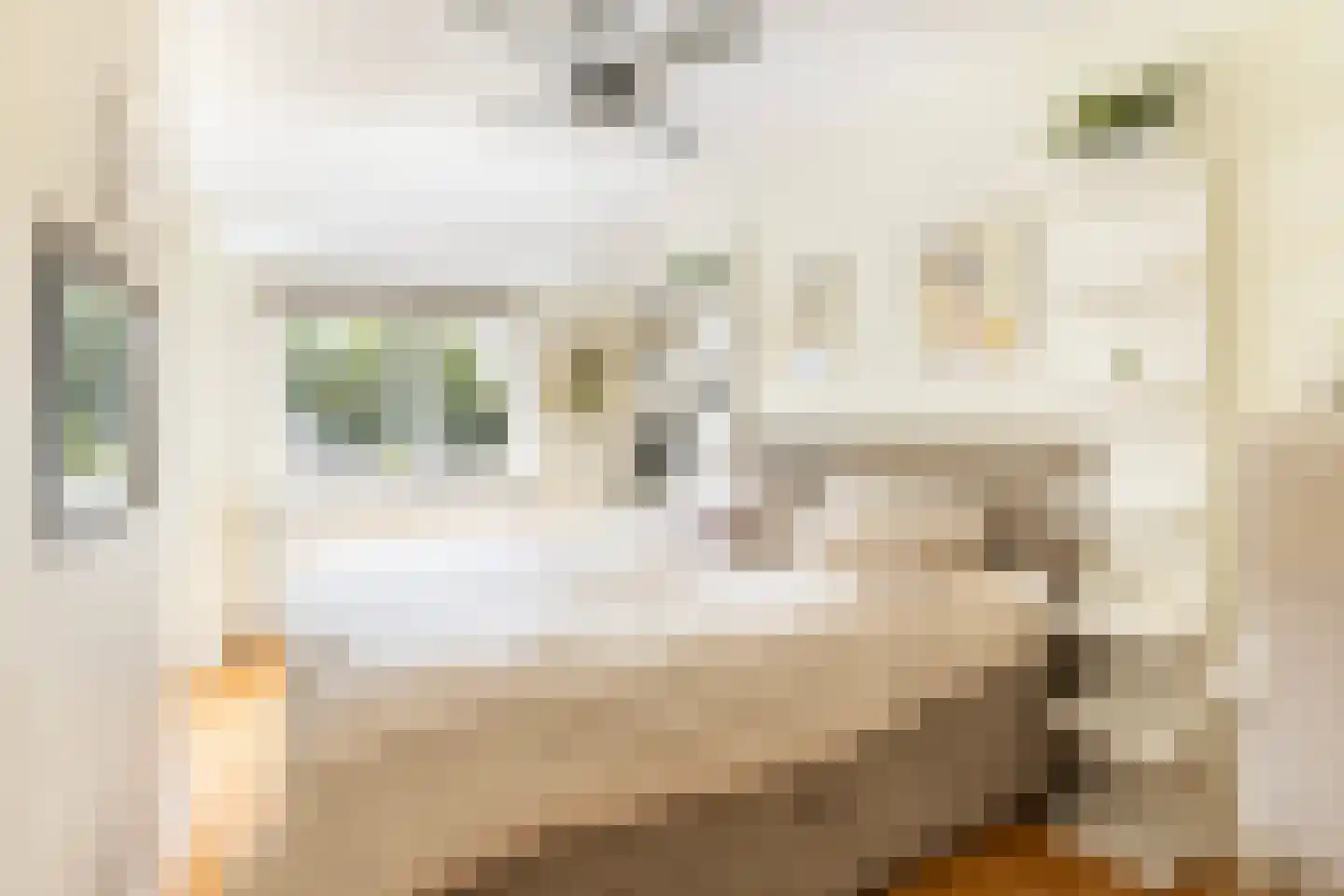 Stellingmolen 24 Maassluis thumbnail 27