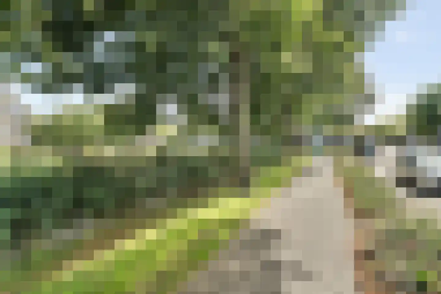Stellingmolen 25 Barendrecht thumbnail 36