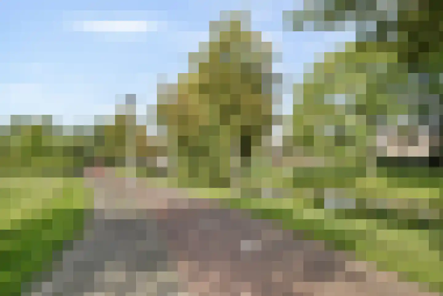 Stellingmolen 25 Barendrecht thumbnail 39