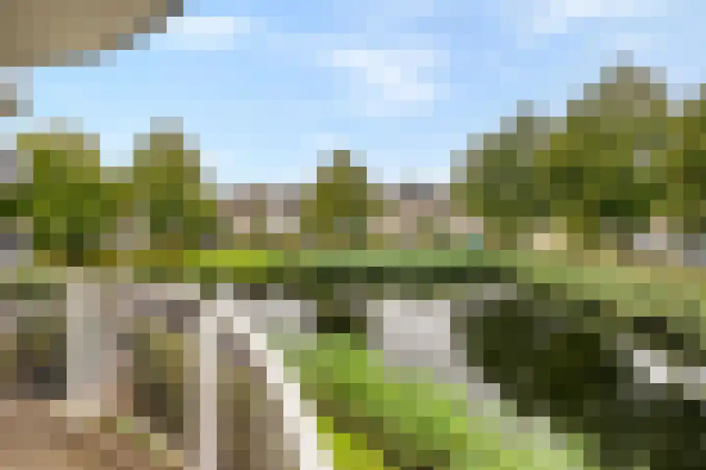 Stellingmolen 25 Barendrecht thumbnail 5