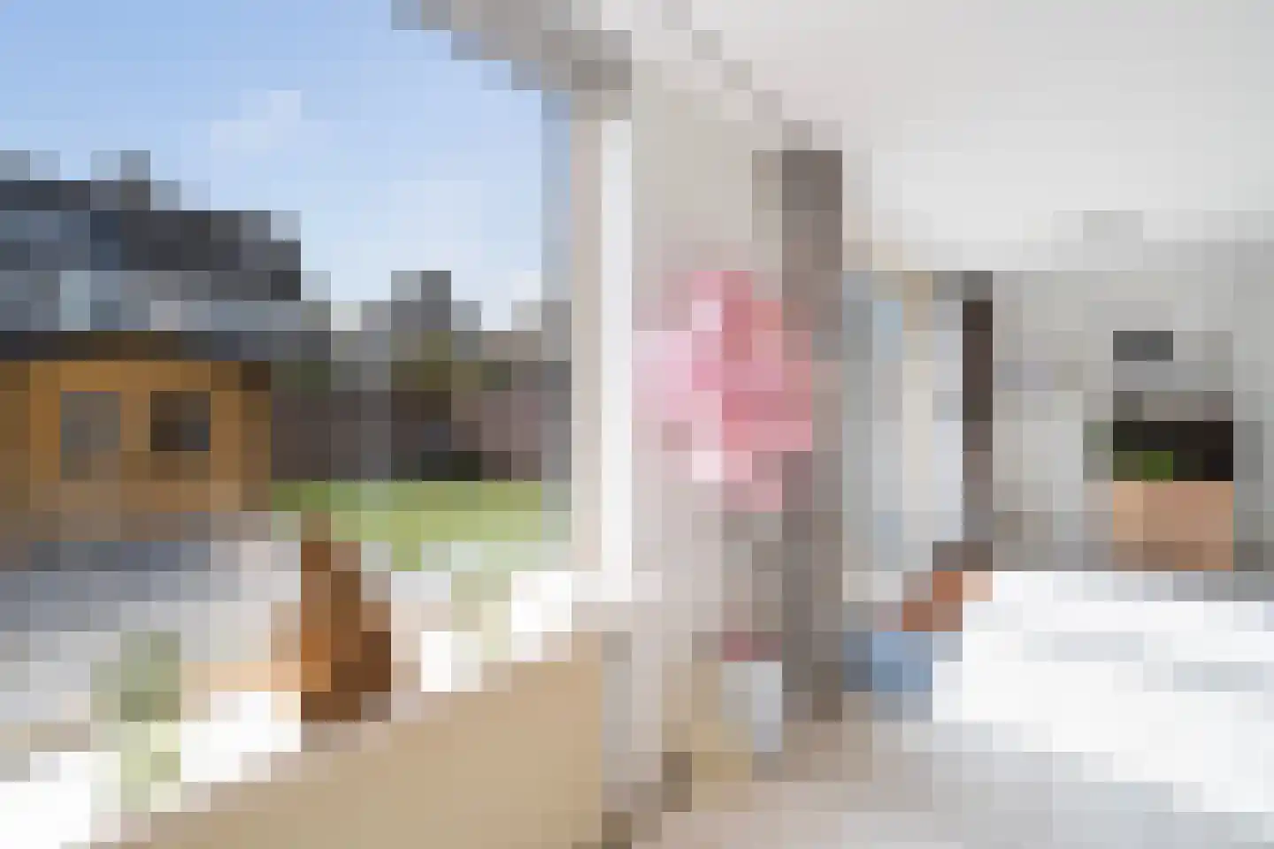 Stellingmolen 3 Capelle aan den IJssel thumbnail 14