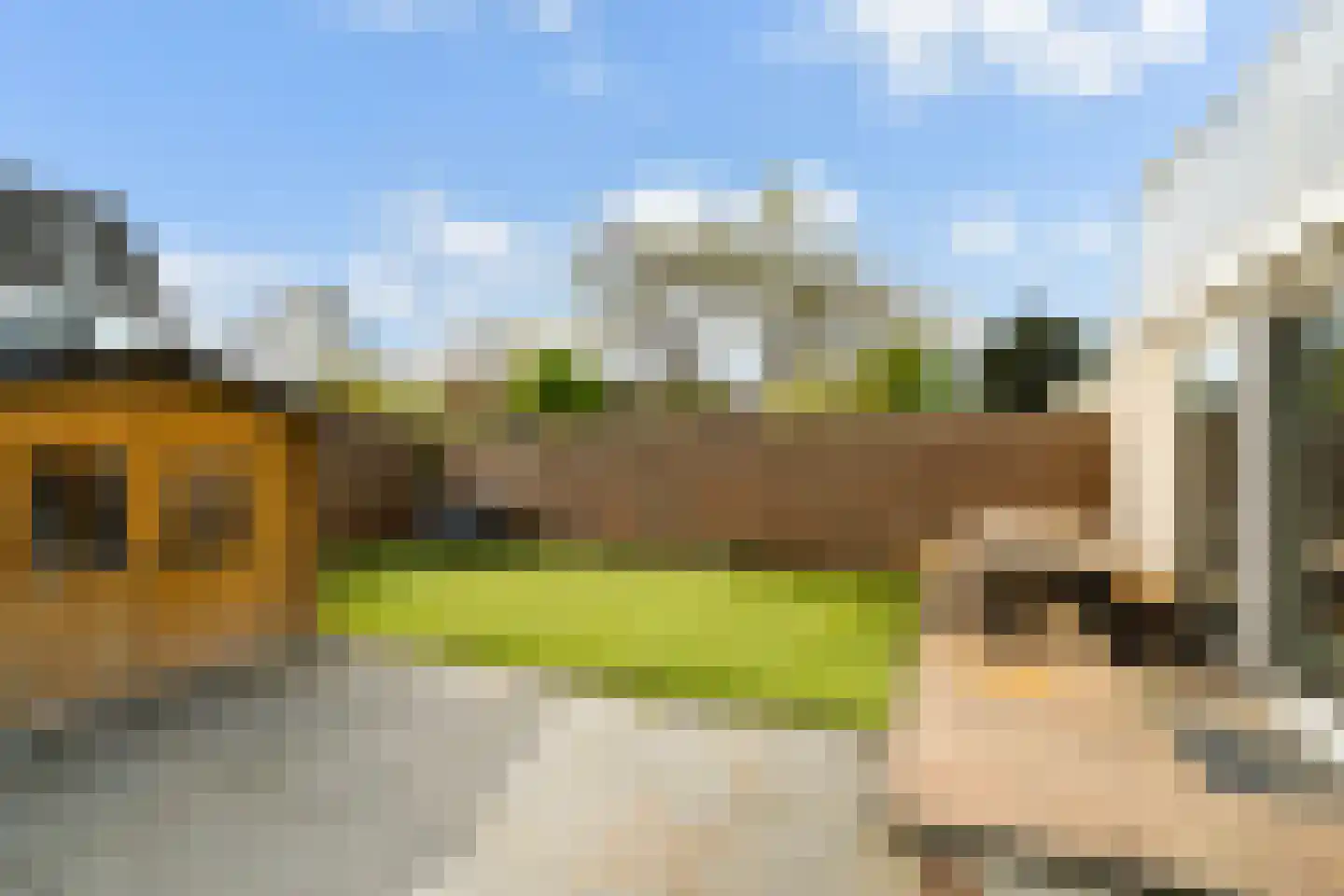 Stellingmolen 3 Capelle aan den IJssel thumbnail 18