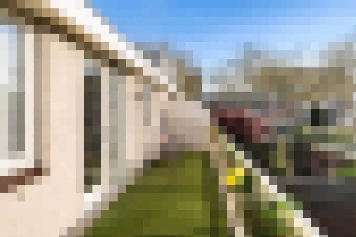 Stellingmolen 3 Capelle aan den IJssel thumbnail 29