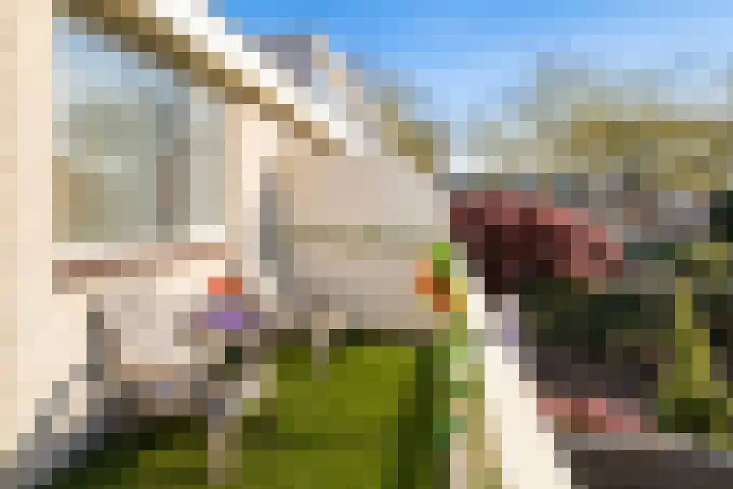 Stellingmolen 3 Capelle aan den IJssel thumbnail 30