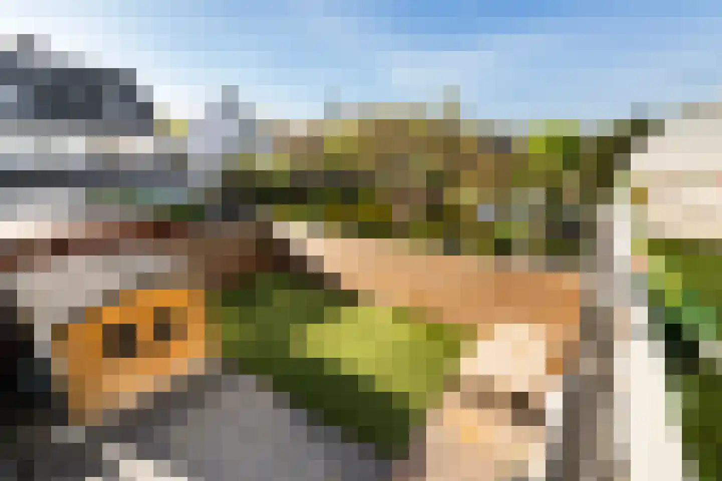 Stellingmolen 3 Capelle aan den IJssel thumbnail 32