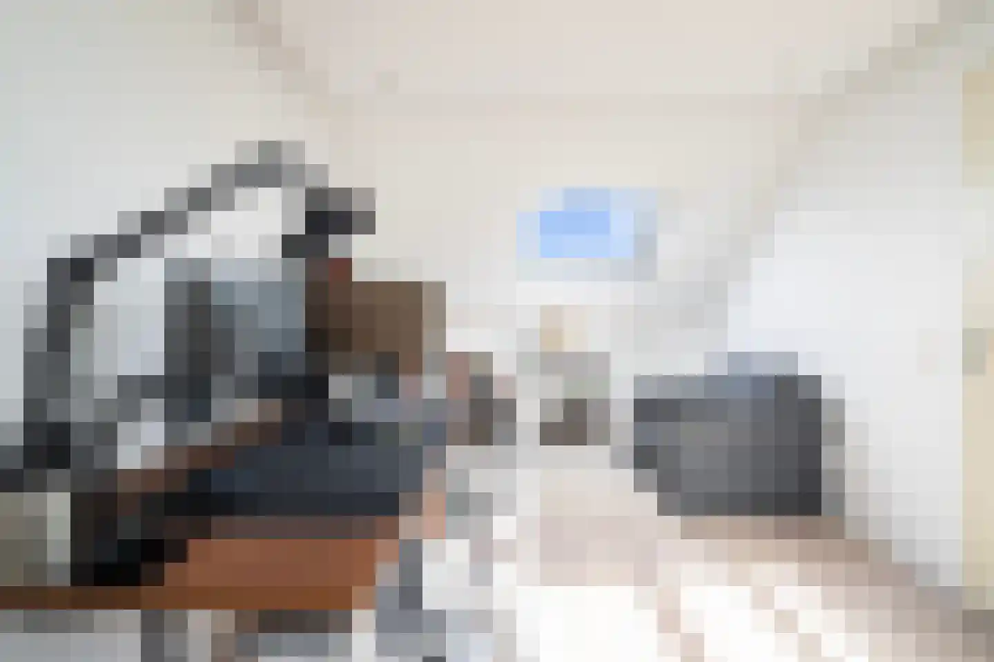 Stellingmolen 3 Capelle aan den IJssel thumbnail 43