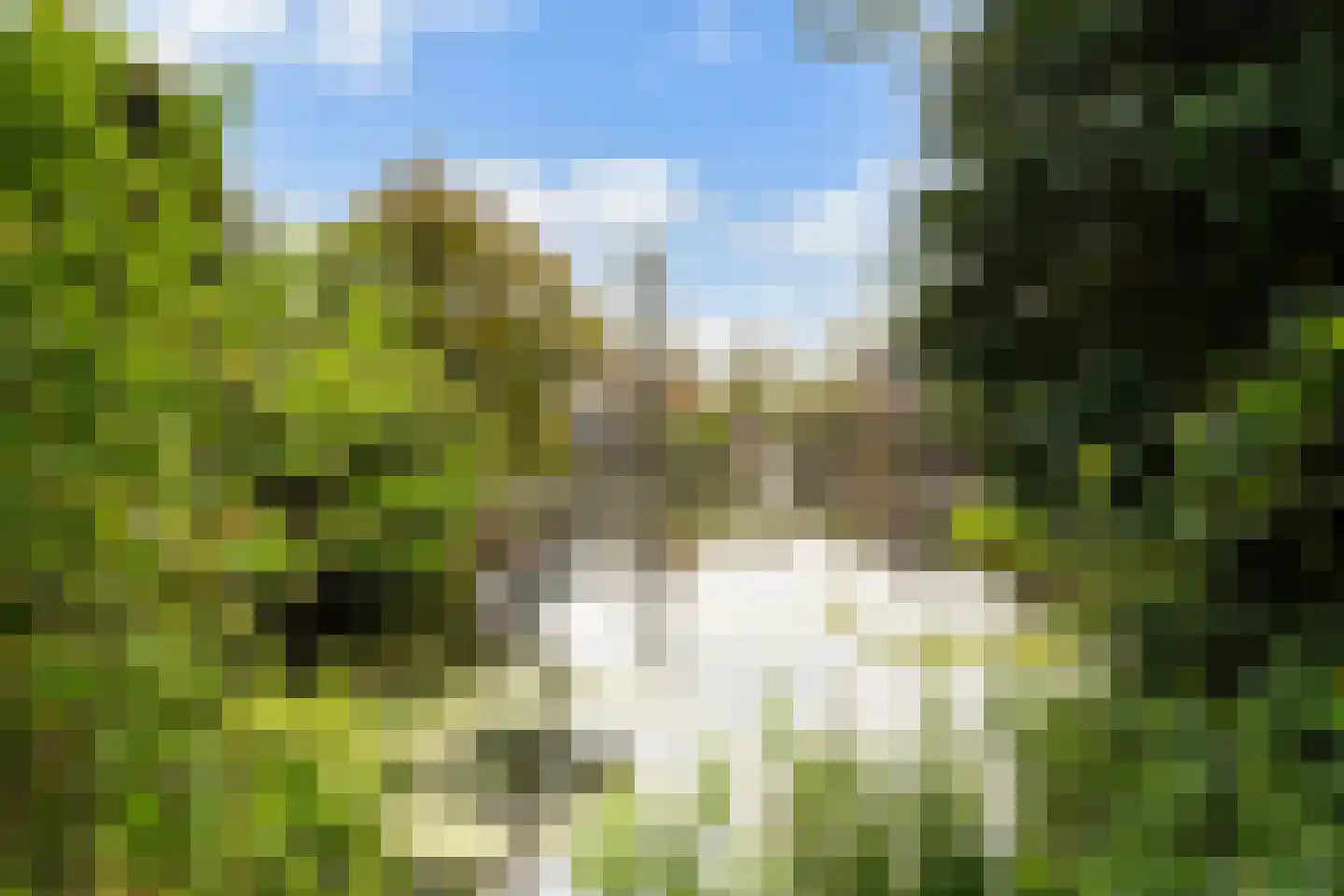 Stellingmolen 3 Capelle aan den IJssel thumbnail 48
