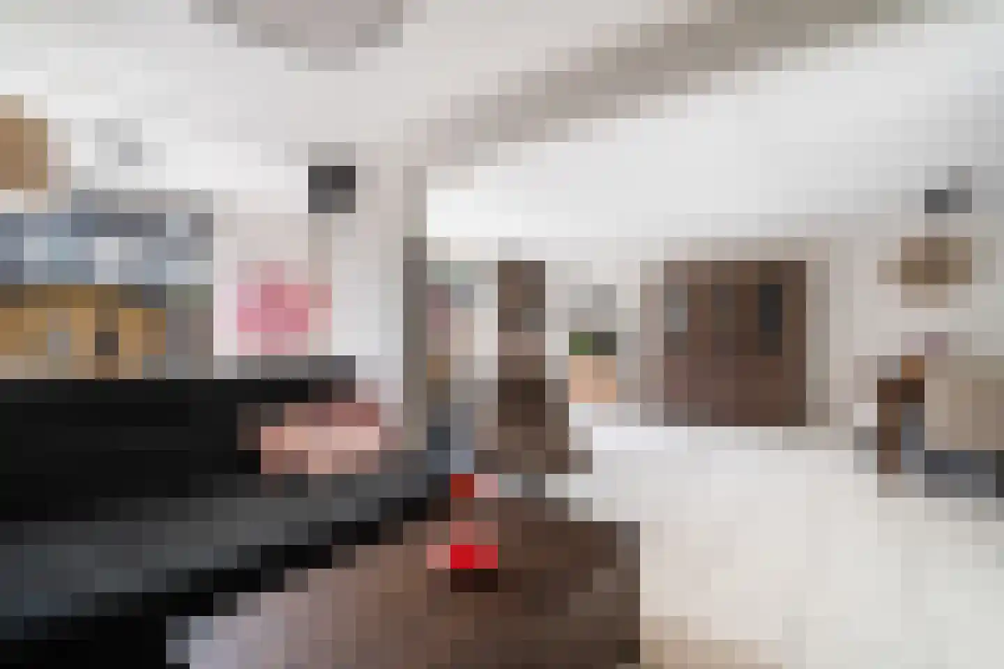 Stellingmolen 3 Capelle aan den IJssel thumbnail 9