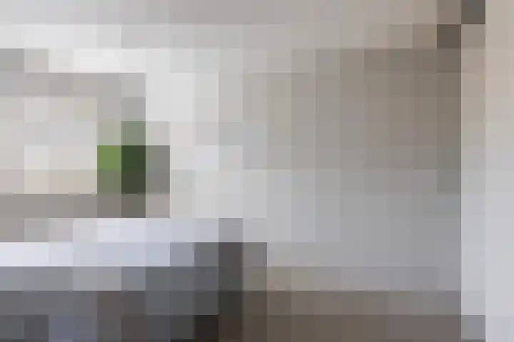 Stellingmolen 3 Maassluis thumbnail 20