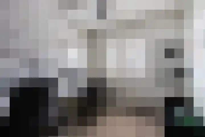 Stellingmolen 3 Maassluis thumbnail 24