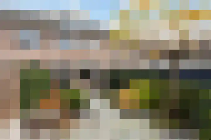Stellingmolen 3 Maassluis thumbnail 36