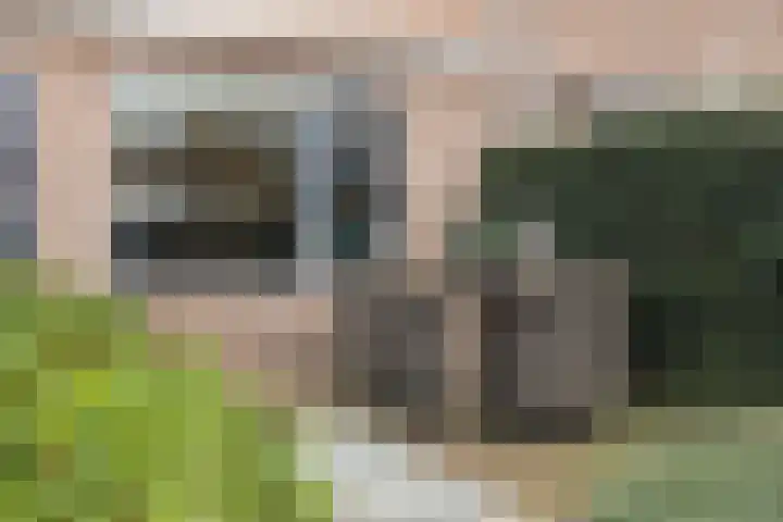 Stellingmolen 3 Maassluis thumbnail 37