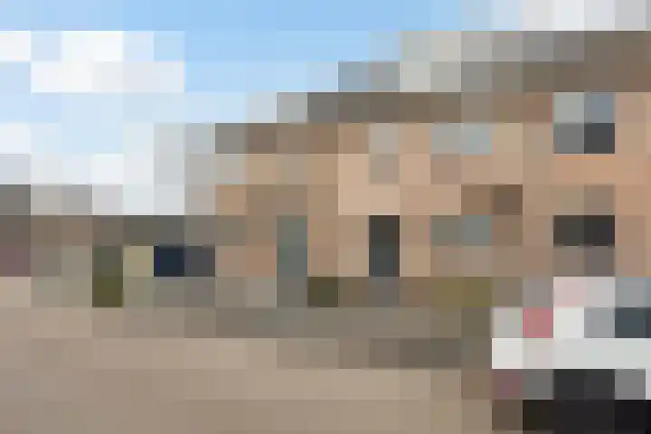 Stellingmolen 3 Maassluis thumbnail 40