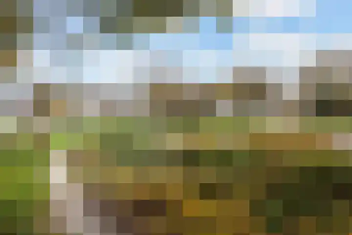 Stellingmolen 3 Maassluis thumbnail 42