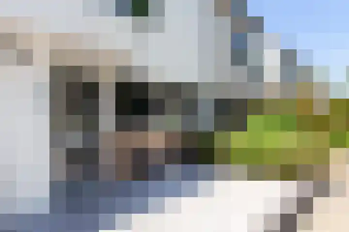 Stellingmolen 32 Alphen aan den Rijn thumbnail 5