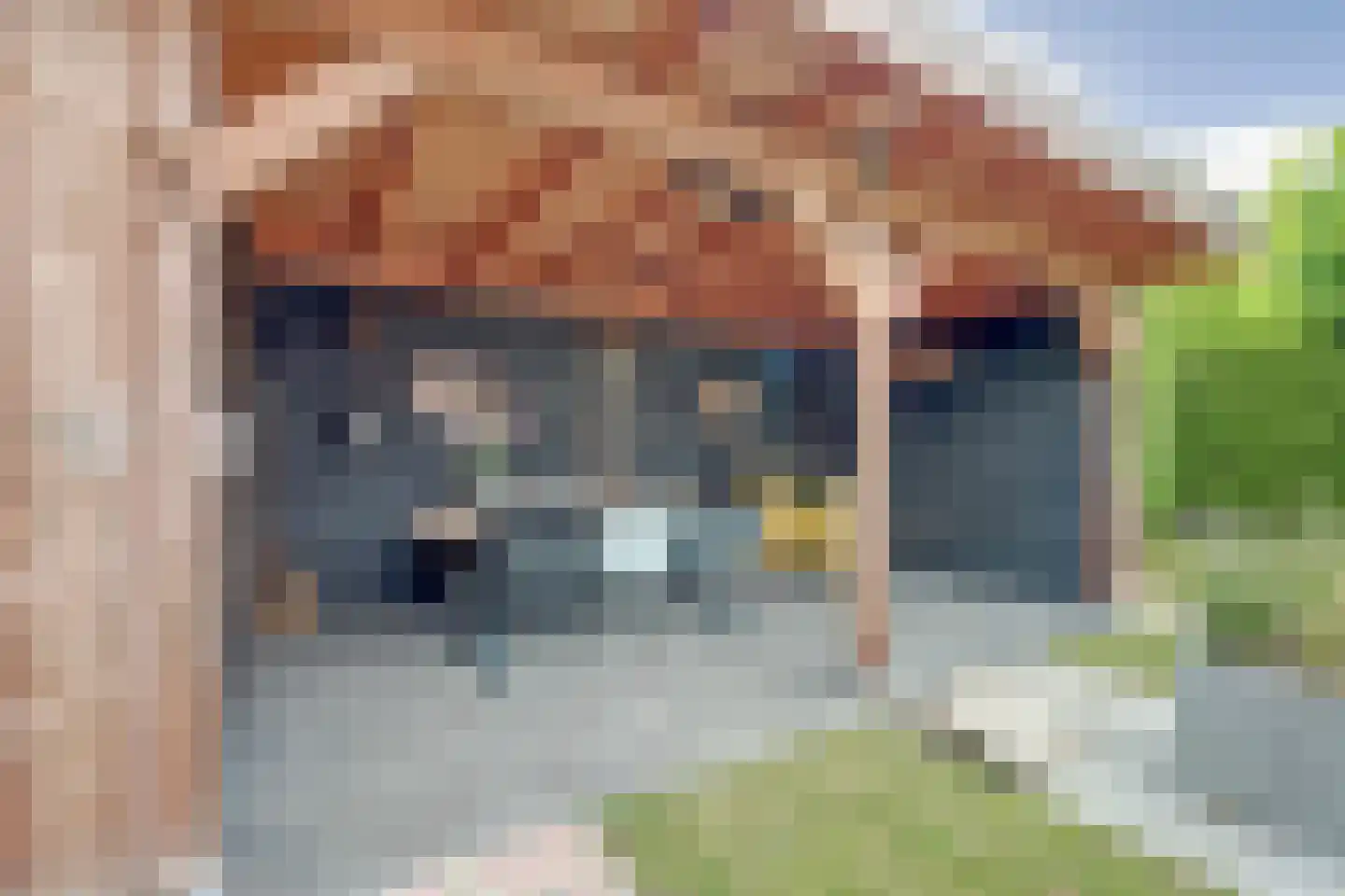 Stellingmolen 38 de Lutte thumbnail 29