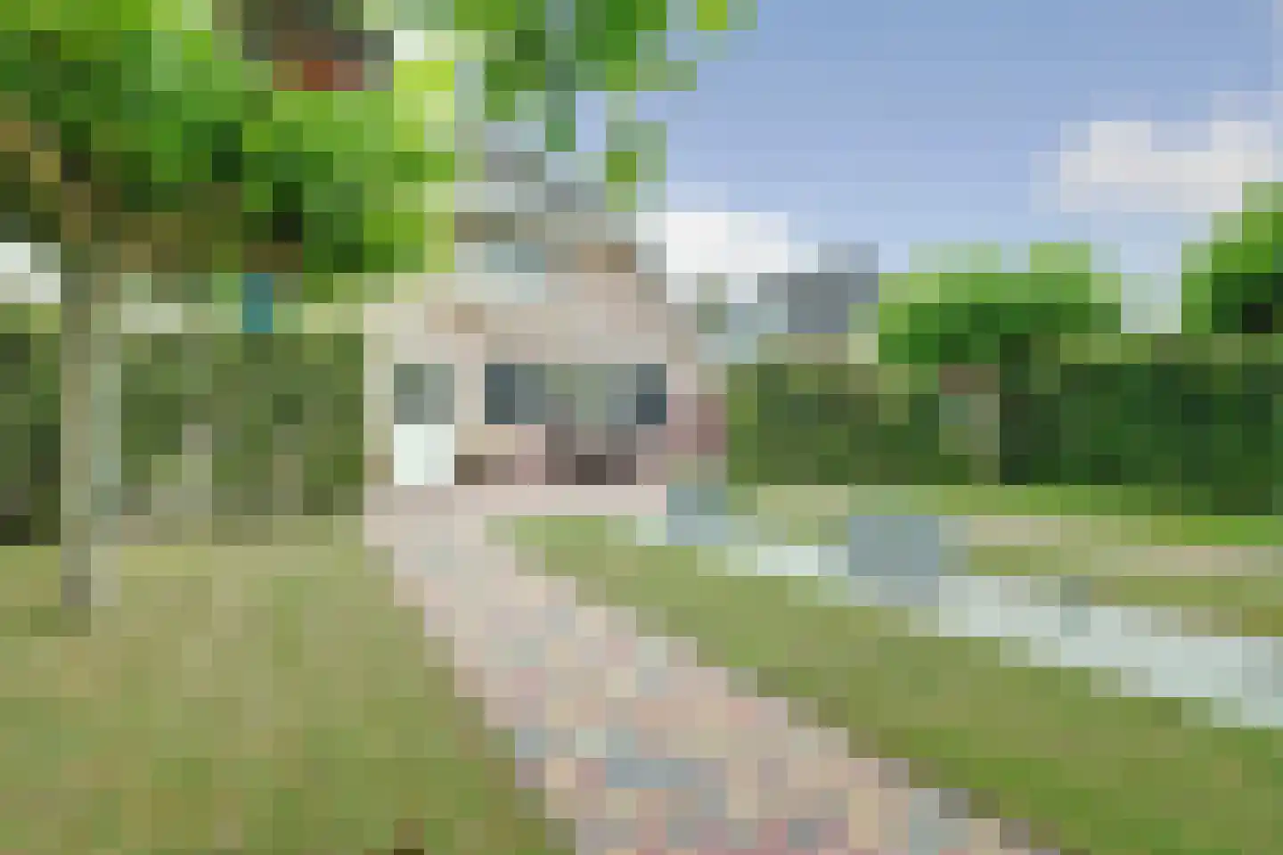 Stellingmolen 38 de Lutte thumbnail 30