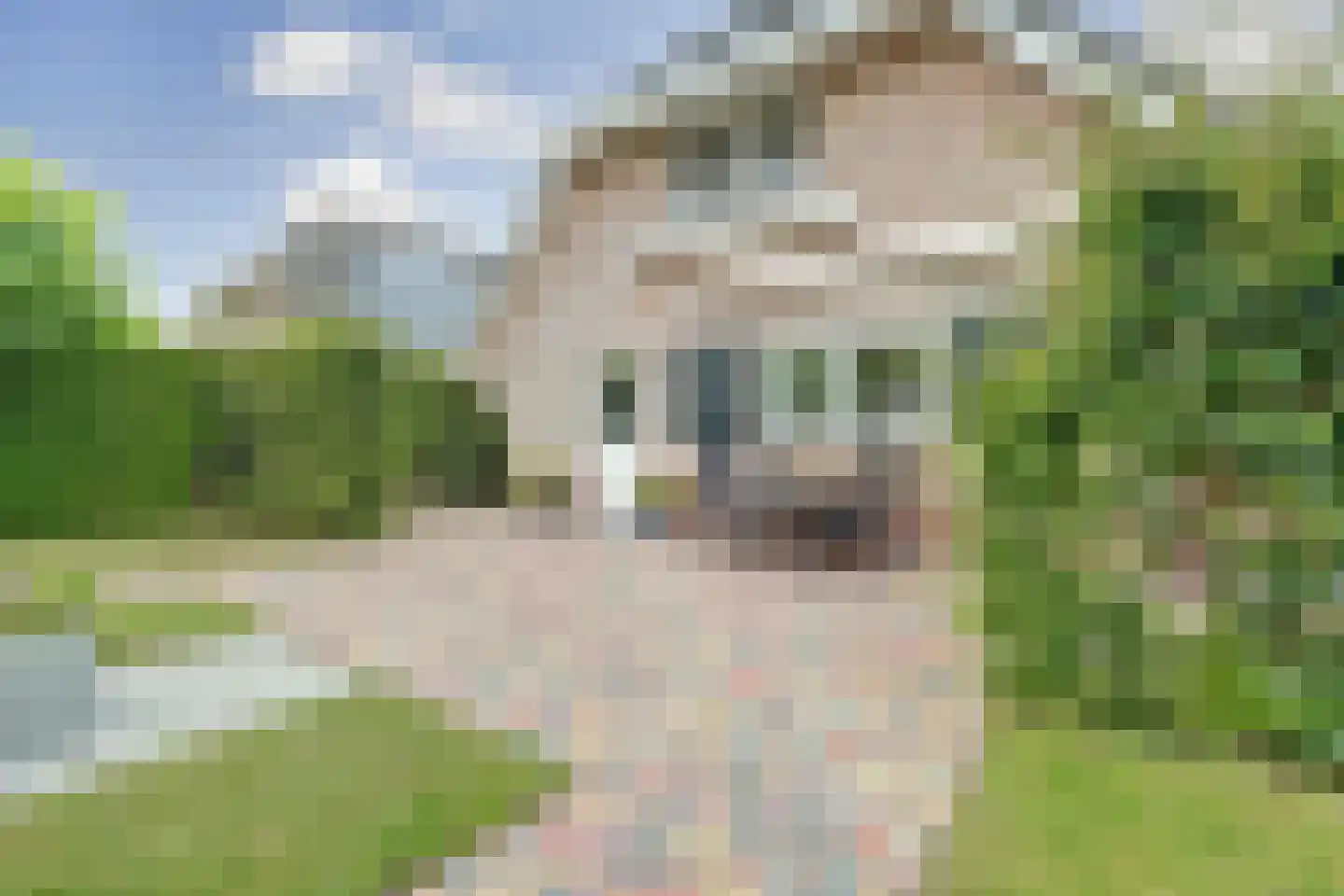 Stellingmolen 38 de Lutte thumbnail 31