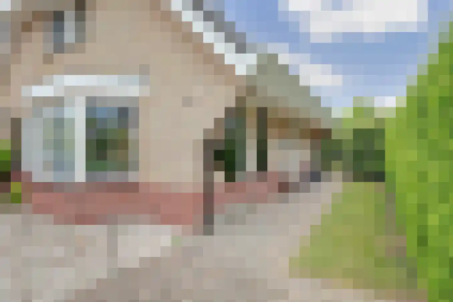 Stellingmolen 38 de Lutte thumbnail 6