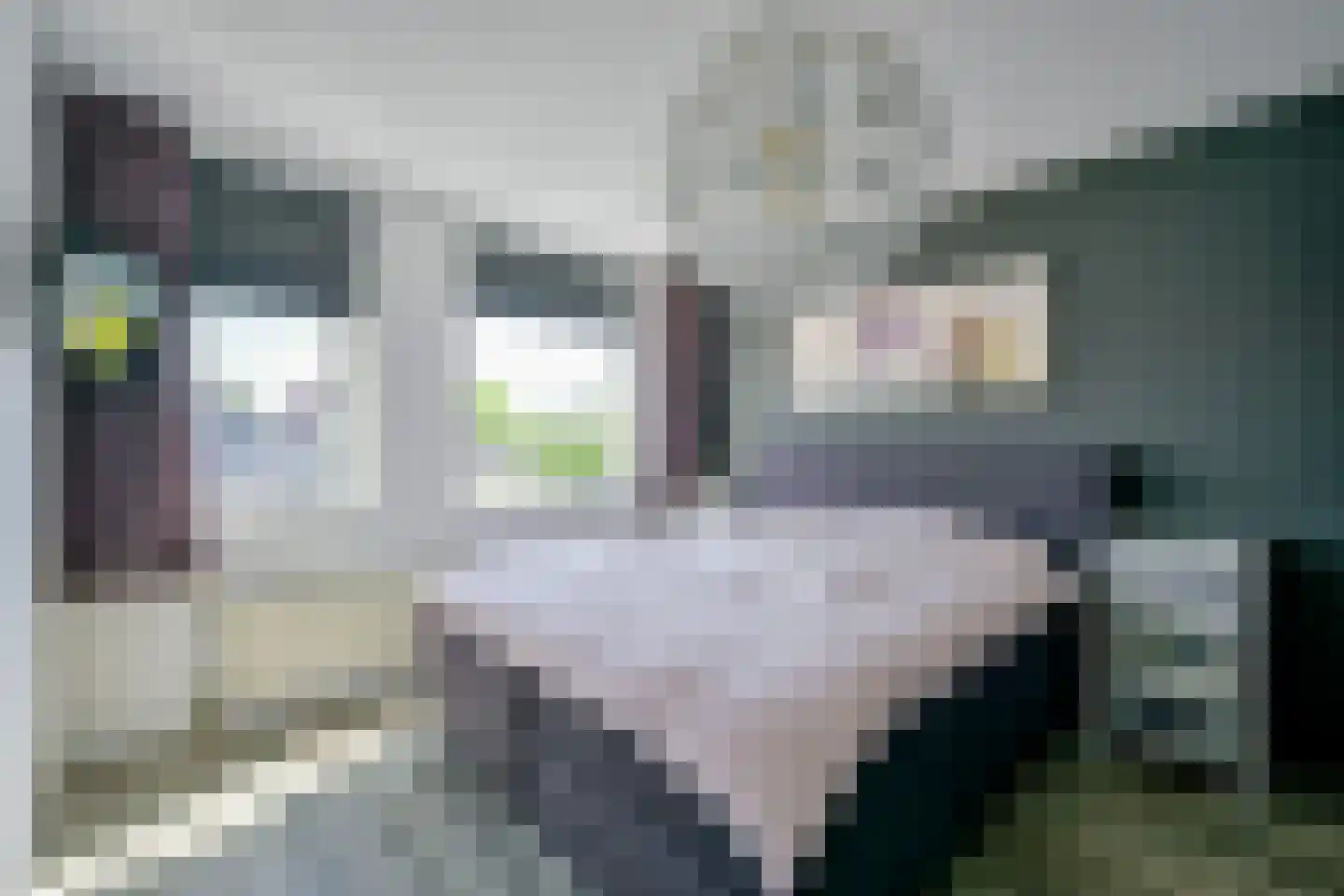 Stellingmolen 38 Heerhugowaard thumbnail 23