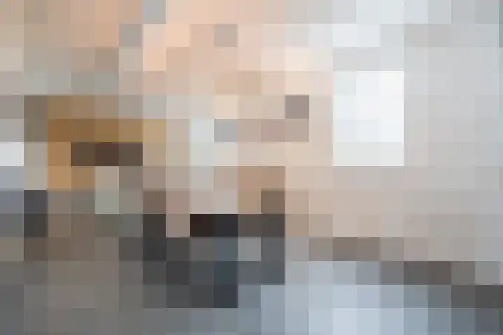 Stellingmolen 4 Weert thumbnail 12