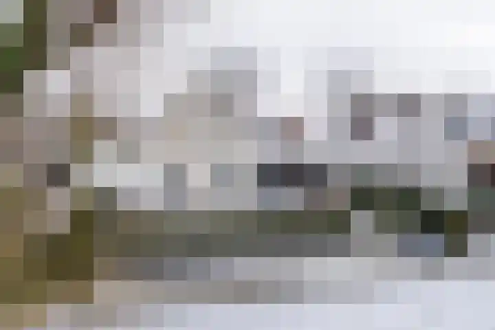 Stellingmolen 4 Weert thumbnail 4