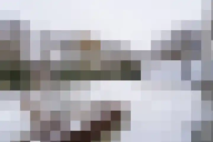 Stellingmolen 4 Weert thumbnail 51