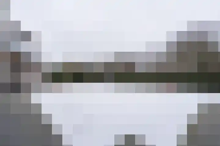 Stellingmolen 4 Weert thumbnail 53
