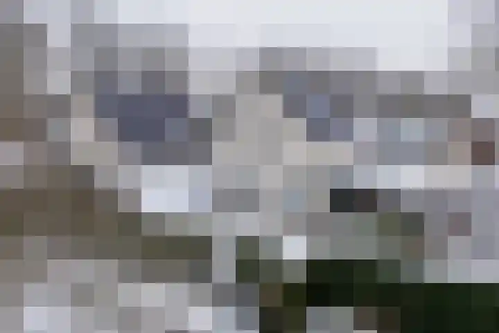 Stellingmolen 4 Weert thumbnail 55