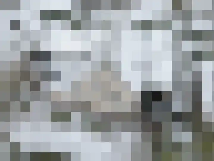 Stellingmolen 4 Weert thumbnail 57
