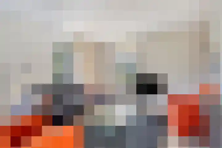 Stellingmolen 40 de Lutte thumbnail 10
