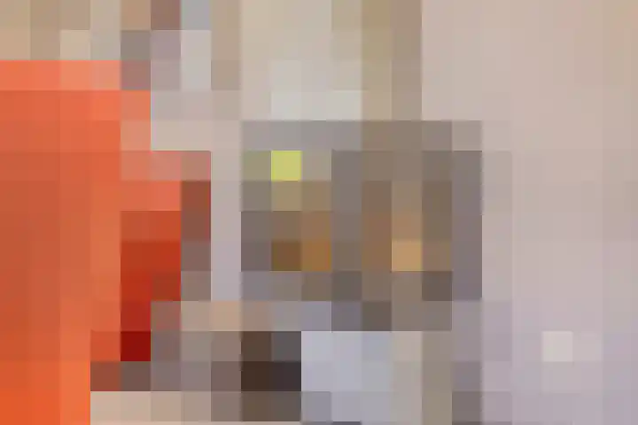 Stellingmolen 40 de Lutte thumbnail 14