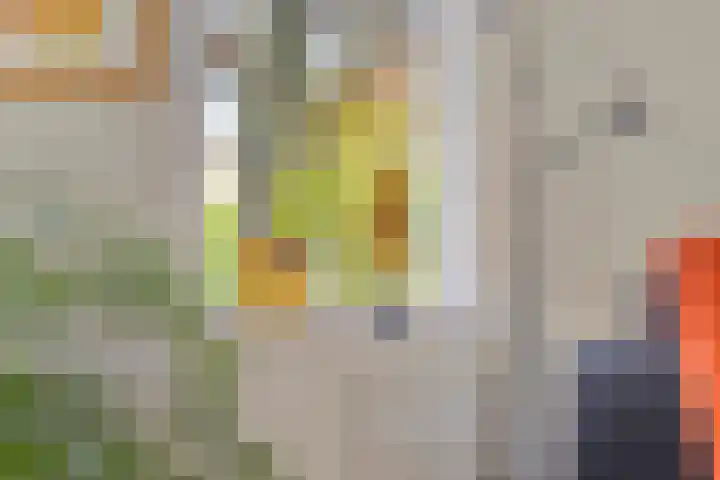 Stellingmolen 40 de Lutte thumbnail 16