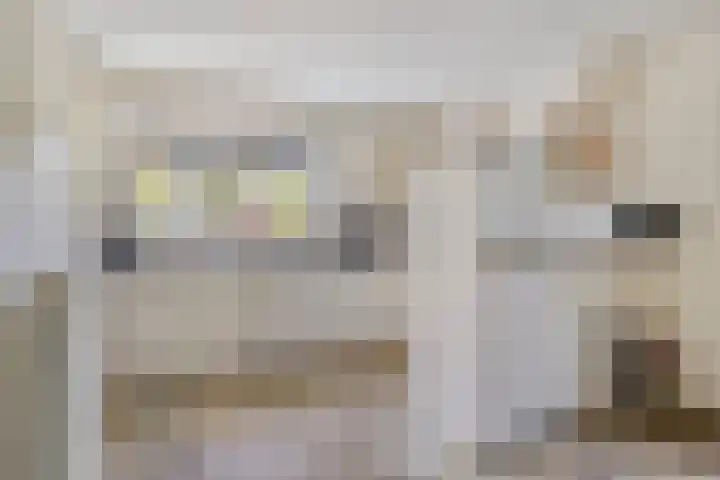 Stellingmolen 40 de Lutte thumbnail 20