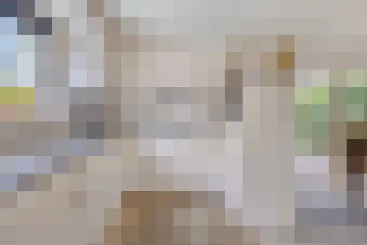 Stellingmolen 40 de Lutte thumbnail 22