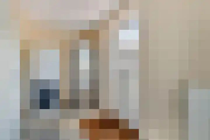 Stellingmolen 40 de Lutte thumbnail 24