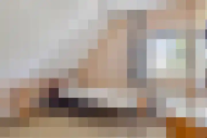 Stellingmolen 40 de Lutte thumbnail 30