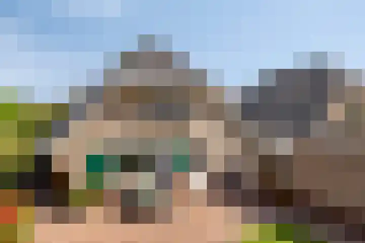 Stellingmolen 40 de Lutte thumbnail 32