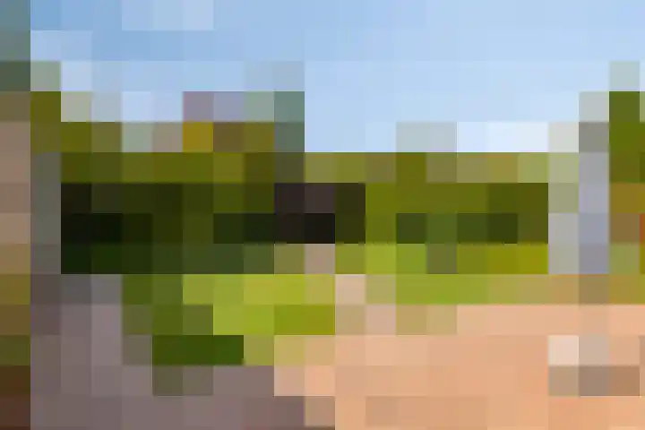 Stellingmolen 40 de Lutte thumbnail 33