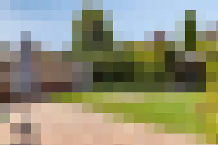 Stellingmolen 40 de Lutte thumbnail 34