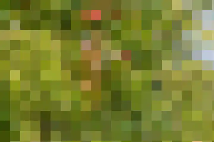 Stellingmolen 40 de Lutte thumbnail 35