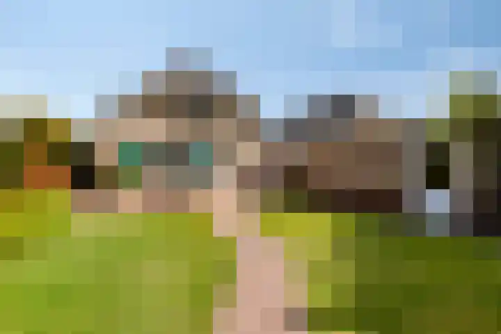 Stellingmolen 40 de Lutte thumbnail 37