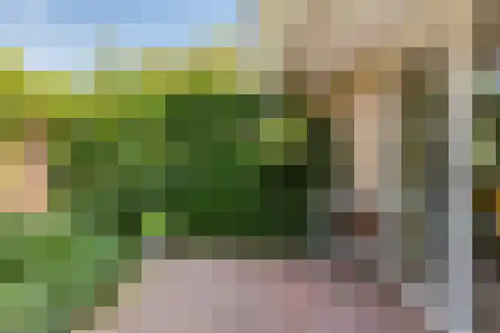 Stellingmolen 40 de Lutte thumbnail 39