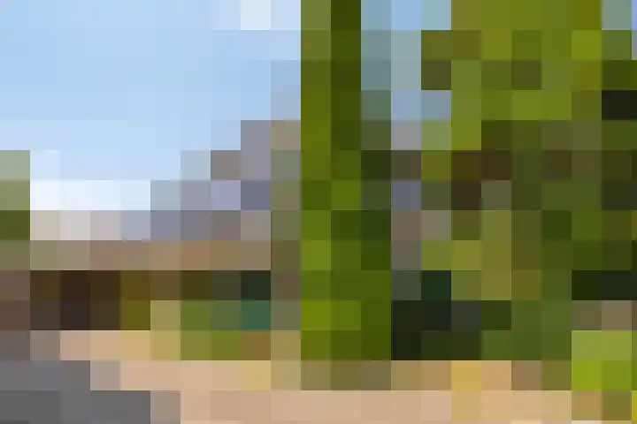 Stellingmolen 40 de Lutte thumbnail 4