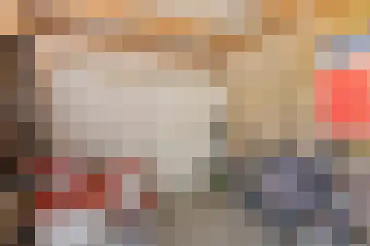 Stellingmolen 40 de Lutte thumbnail 40