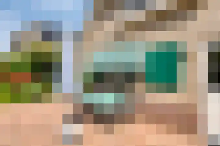 Stellingmolen 40 de Lutte thumbnail 41