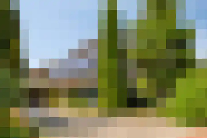 Stellingmolen 40 de Lutte thumbnail 42