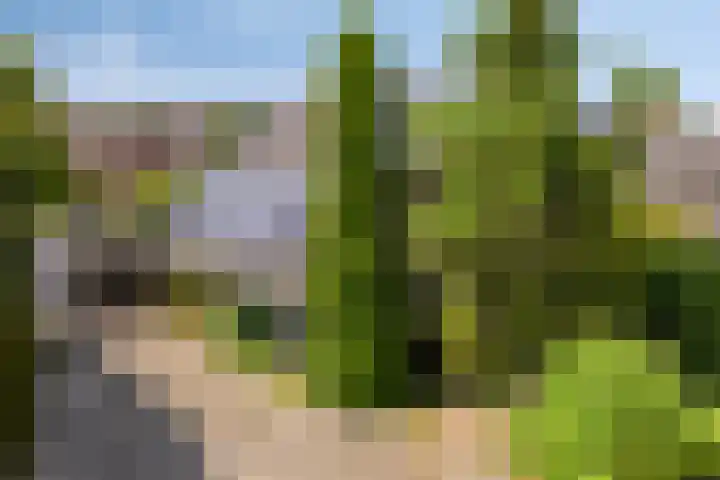 Stellingmolen 40 de Lutte thumbnail 43