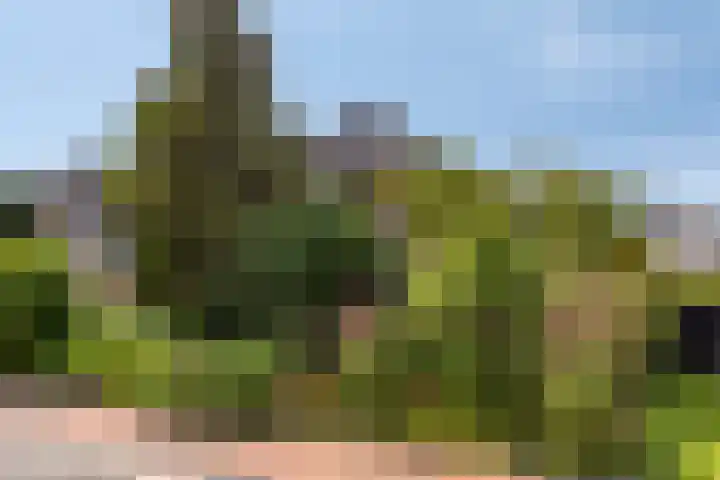 Stellingmolen 40 de Lutte thumbnail 5