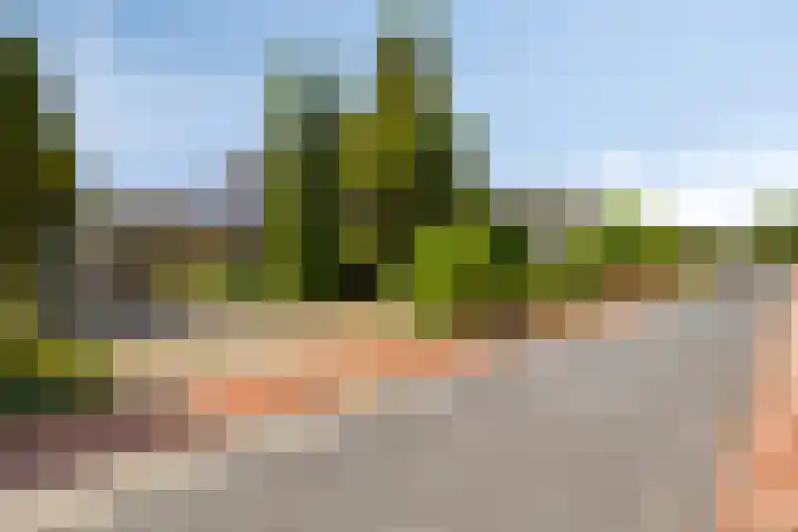 Stellingmolen 40 de Lutte thumbnail 6